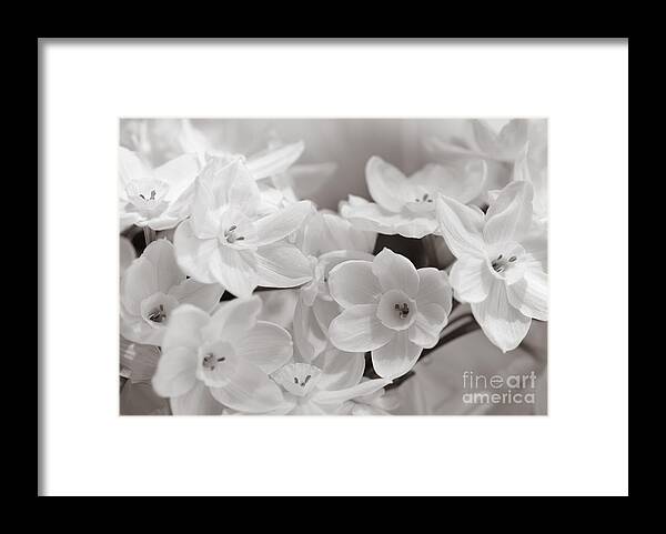 Paper Whites Framed Print featuring the photograph Paper Whites Bouquet by Tamara Becker