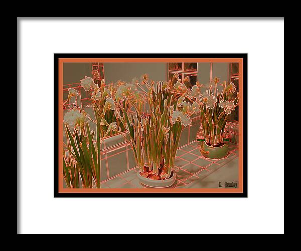 Paper Whites Framed Print featuring the photograph Paper Whites by Lessandra Grimley