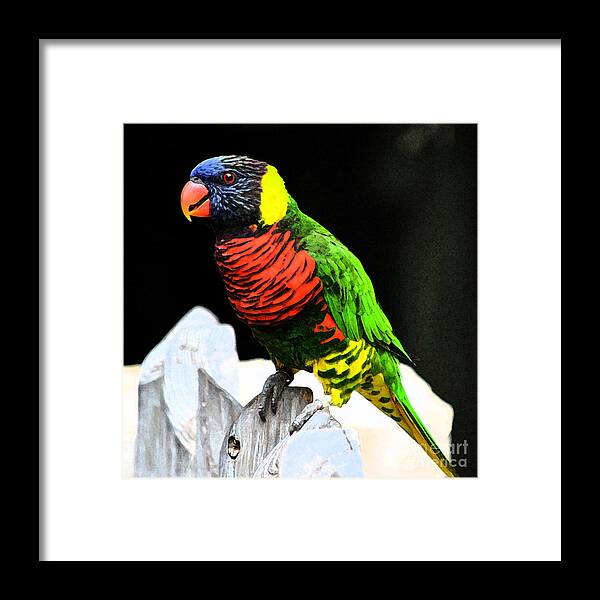 Parakeet Framed Print featuring the digital art Parakeet Vibrant Colorful Profile Fresco Digital Art by Shawn O'Brien