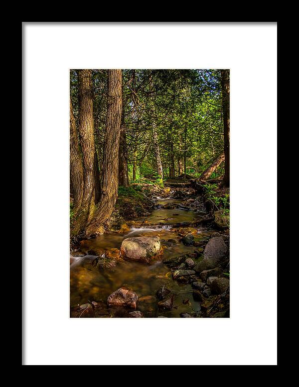 Baraboo Framed Print featuring the photograph Parfreys Glen Stream by Chuck De La Rosa
