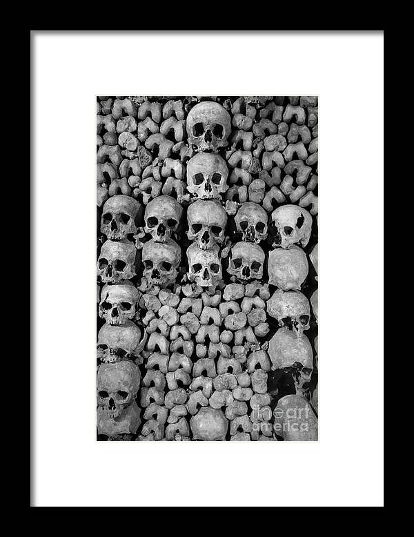 Bone Framed Print featuring the photograph Paris Catacombs by Inge Johnsson