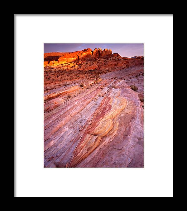 Wilderness Framed Print featuring the photograph Park Pastel Palet by Ray Mathis