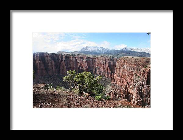 Parker Canyon Framed Print featuring the photograph Parker Canyon In The Sierra Ancha Arizona by Tom Janca