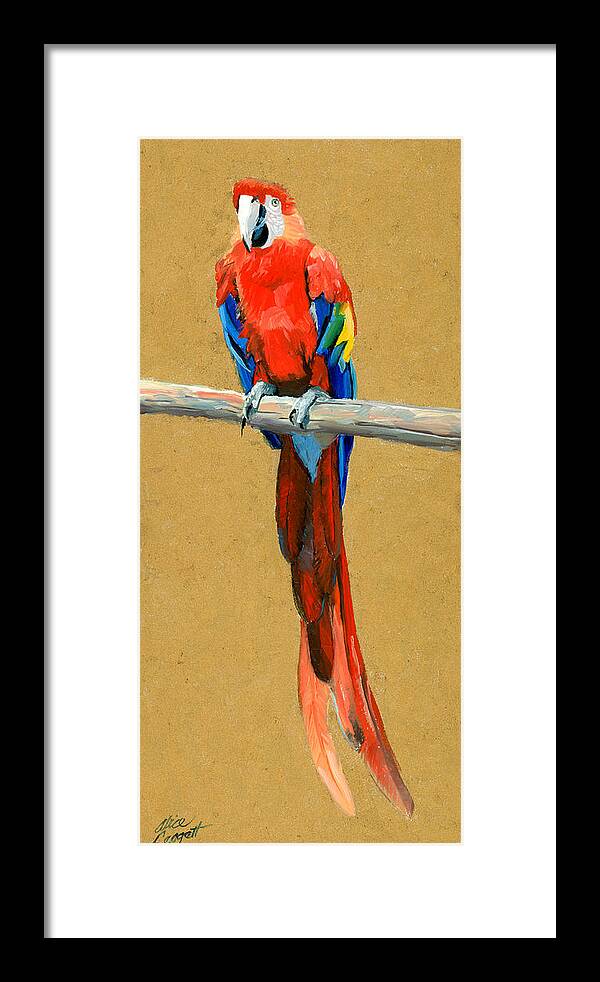 Parrot Framed Print featuring the painting Parrot Perch by Alice Leggett