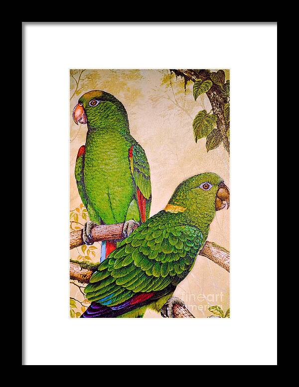 Parrot Framed Print featuring the photograph Parrot Popularity by Gary Keesler