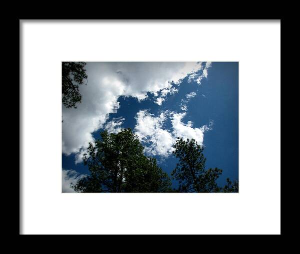 Goldwater Lake Framed Print featuring the photograph Partly Cloudy Forest Skies by Aaron Burrows