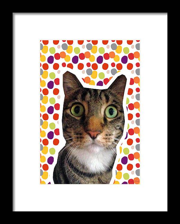 Cat Framed Print featuring the photograph Party Animal - Smaller Cat with Confetti by Linda Woods