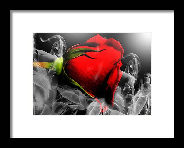 Passion Framed Print featuring the photograph Passionate Red Hot Smoky Rose by Georgiana Romanovna