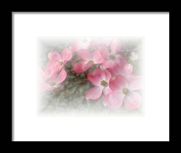 Soft Framed Print featuring the photograph Pastels in Pink by Carolyn Jacob