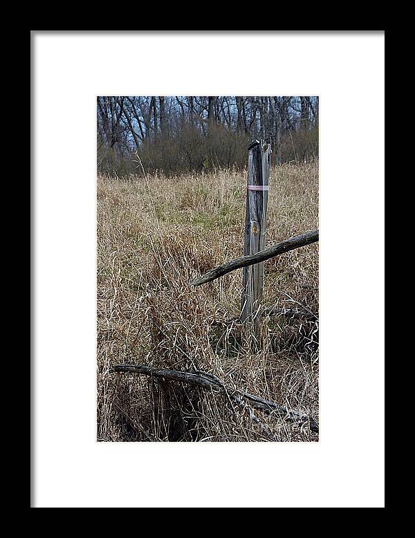 Fence Post Framed Print featuring the photograph Pasture by Joseph Yarbrough