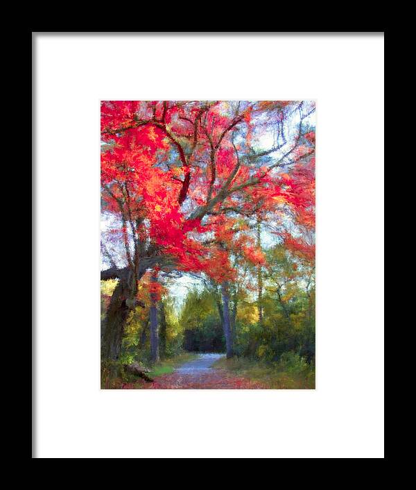 Fall Framed Print featuring the photograph Path in fall by Stacy Abbott