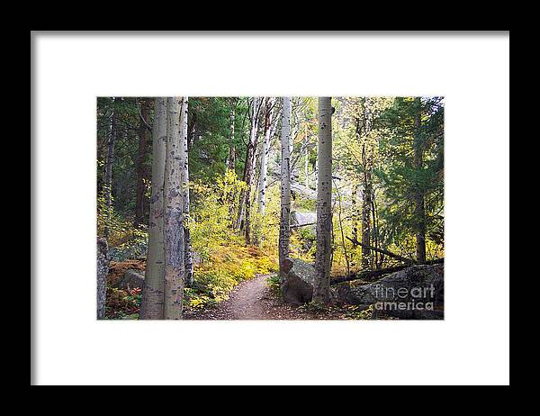 Aspens Framed Print featuring the digital art Path of Peace by Margie Chapman