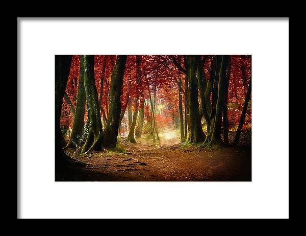 Outdoors Framed Print featuring the photograph Path Through Forest by Philippe Manguin Photographies