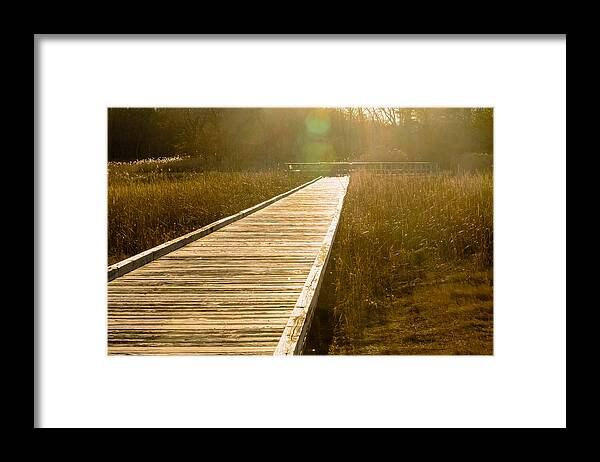32 Bit Framed Print featuring the photograph Path to light by SAURAVphoto Online Store