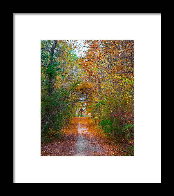Path Framed Print featuring the photograph Path to the Fairies by Parker Cunningham