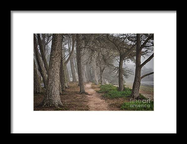 California Framed Print featuring the photograph Pathway by Alice Cahill