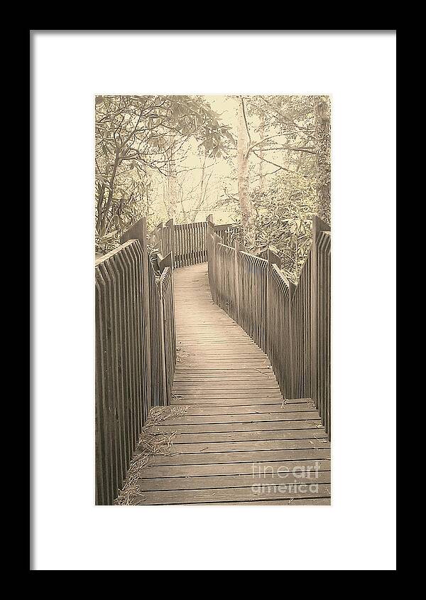 Boardwalk Framed Print featuring the photograph Pathway by Melissa Petrey