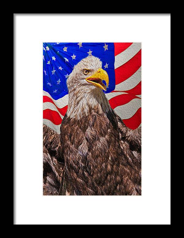Patriotic Framed Print featuring the photograph Patriot by Matthew Bamberg