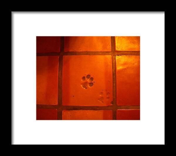 Paw Prints Framed Print featuring the photograph Paw Prints by Glory Ann Penington