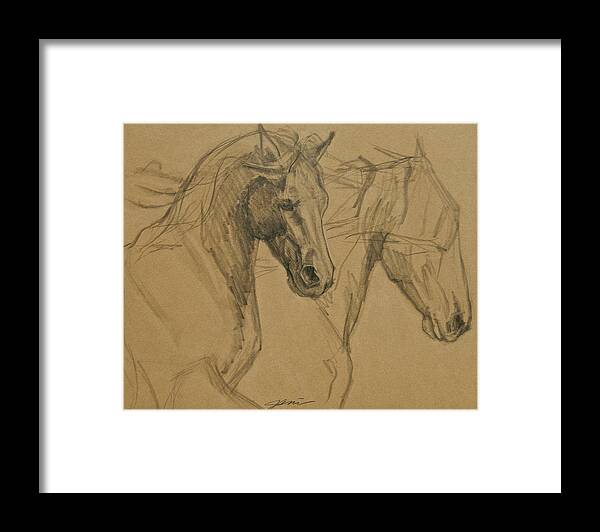 Horse Art Framed Print featuring the drawing Peace And Justice Sketch by Jani Freimann
