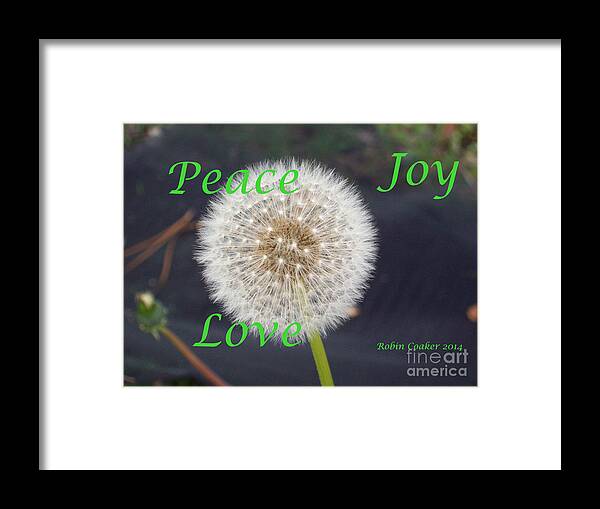 Abstract Flower Framed Print featuring the photograph Peace Joy and Love by Robin Coaker