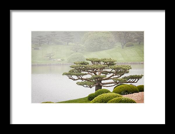 Japanese Garden Framed Print featuring the photograph Peace by Patty Colabuono