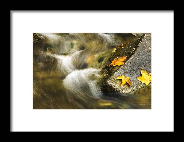 Autumn Framed Print featuring the photograph Peaceful Creek by Christina Rollo