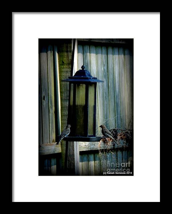 Birds Framed Print featuring the photograph Peaceful Morning by Rabiah Seminole