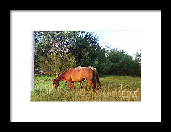 Sunset Framed Print featuring the photograph Peaceful sunset by Yumi Johnson