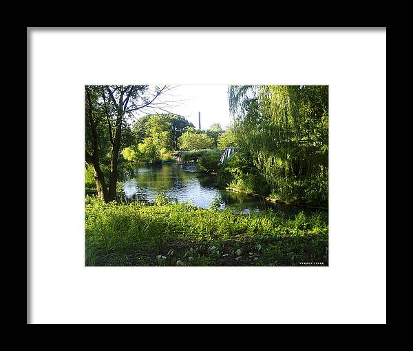 Pond Framed Print featuring the photograph Peaceful Waters by Verana Stark