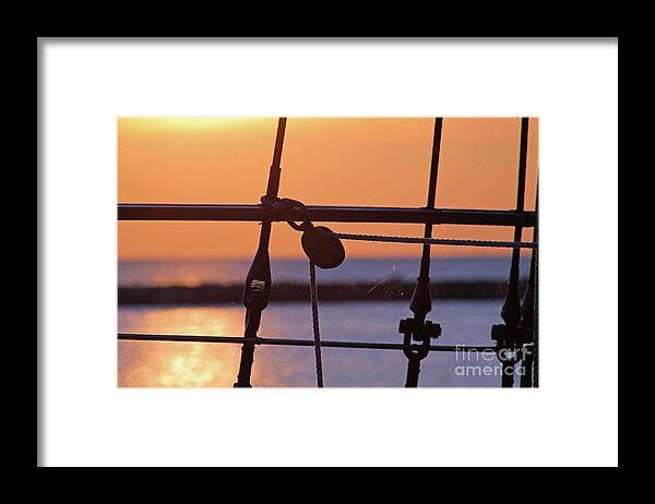 Peacemaker Framed Print featuring the photograph Peacemaker 7 by Eric Curtin
