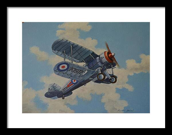 Aviation Art Framed Print featuring the painting Peacetime Gladiator by Murray McLeod
