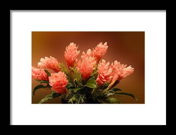 Plant Framed Print featuring the photograph Peach Gibger Blossoms by Linda Phelps