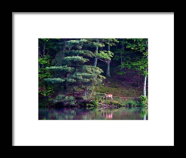Deer Framed Print featuring the painting Peaks of Otter Deer by John Haldane