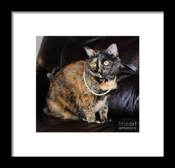 Cat Framed Print featuring the photograph Pearl with Pearls by Oksana Semenchenko