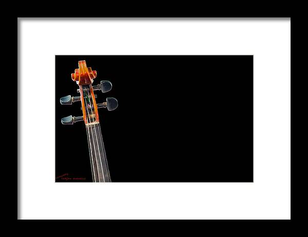 Pegs And Scroll Framed Print featuring the photograph Pegs and Scroll by Torbjorn Swenelius