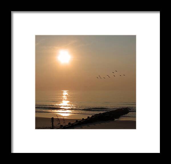 Shore Framed Print featuring the photograph Pelican Sunrise by Deborah Smith
