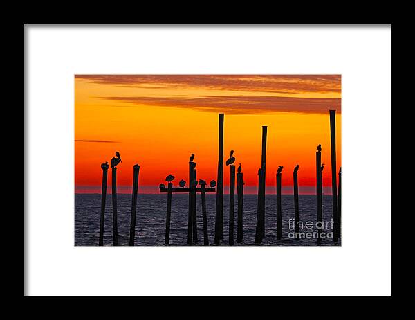 New Orleans Photos Framed Print featuring the photograph Pelican Sunset in Louisiana by Luana K Perez