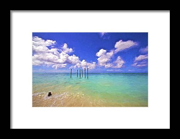 Aruba Framed Print featuring the painting Pelicans of Aruba by David Letts