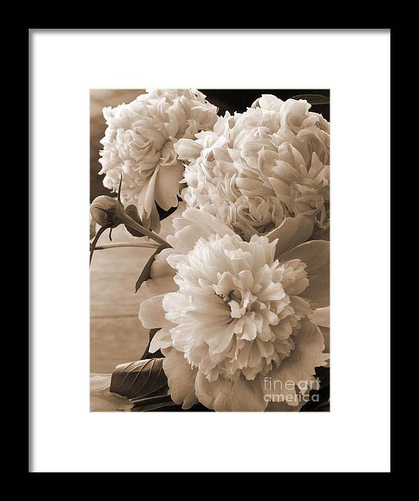 Peonies; Flowers; Garden; Mother's Day; Memorial Day; Decoration Day; Outdoors; Spring; Spring Flowers; Fragrant Flowers; Beauty; Desktop Bouquet; Bouquet Framed Print featuring the photograph Peonies by Betty Morgan