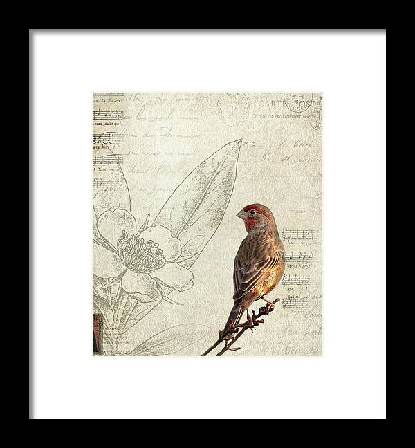 Bird Framed Print featuring the photograph Perched by Rebecca Cozart