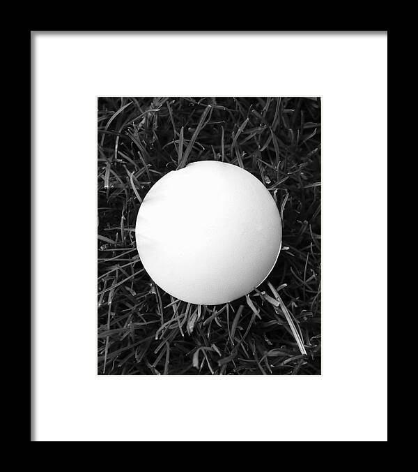 B&w Framed Print featuring the photograph Perfect Mushroom by JustJeffAz Photography