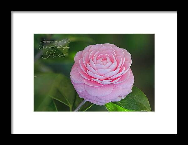 Flower Artwork Framed Print featuring the photograph Perfection with Message by Mary Buck