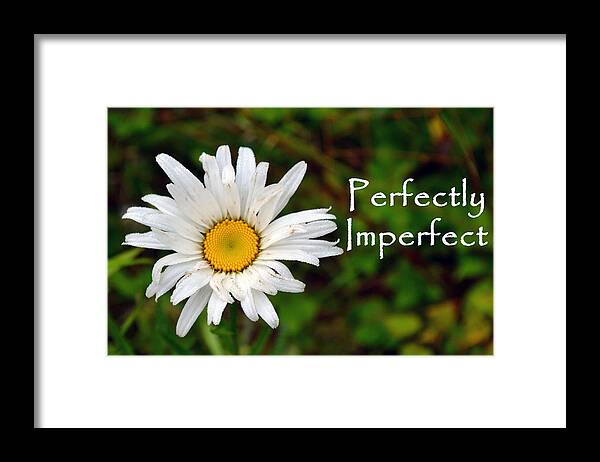 Daisy Framed Print featuring the photograph Perfectly Imperfect Daisy Flower by Beth Venner