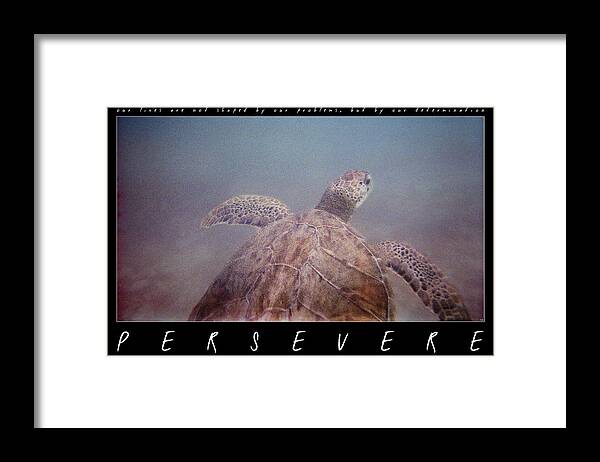 Turtle Framed Print featuring the photograph Persevere II by Weston Westmoreland