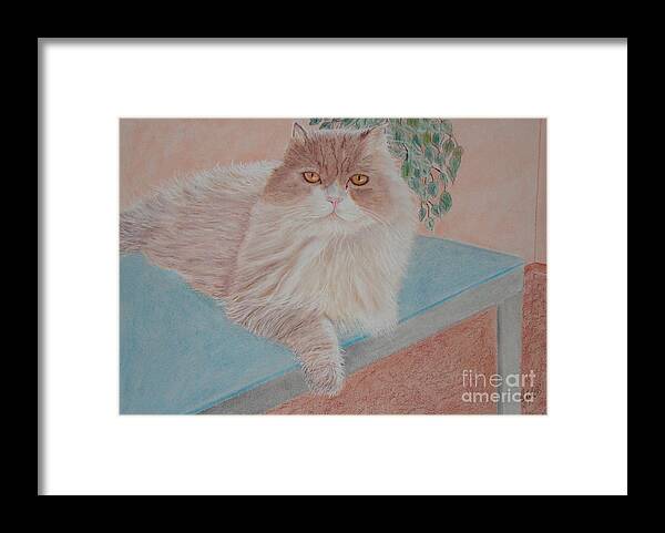 Cat Framed Print featuring the painting Persian Cat by Cybele Chaves