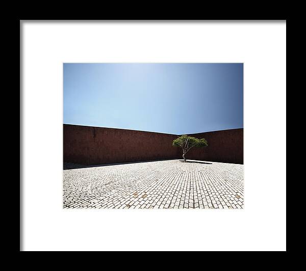 City Framed Print featuring the photograph Perspective View On Square With Tree by Stanislaw Pytel