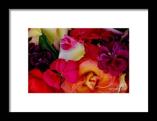 Photography Framed Print featuring the photograph Petal River by Jeanette French