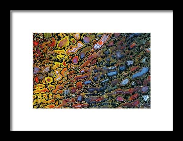 Mineral Framed Print featuring the photograph Petrified Dinosaur Bone Close Up by Darrell Gulin