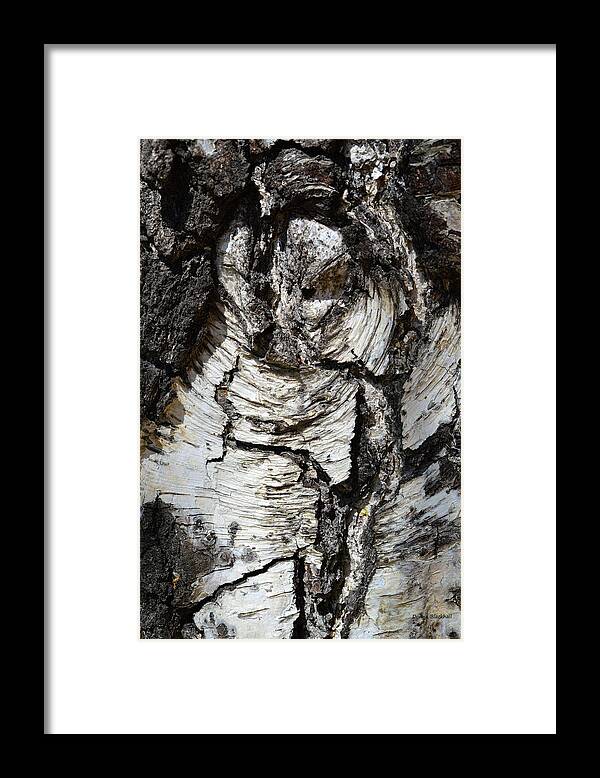 Wood Framed Print featuring the photograph Petrified Owl by Donna Blackhall